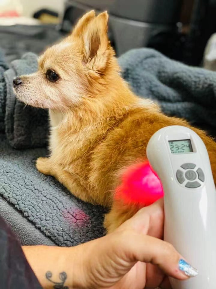 Laser Therapy Device for Pain Relief Handheld Knee Back Pain For Human Pets