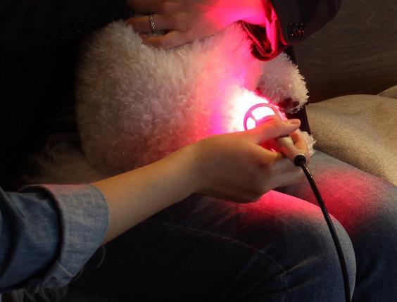 K Laser Therapy