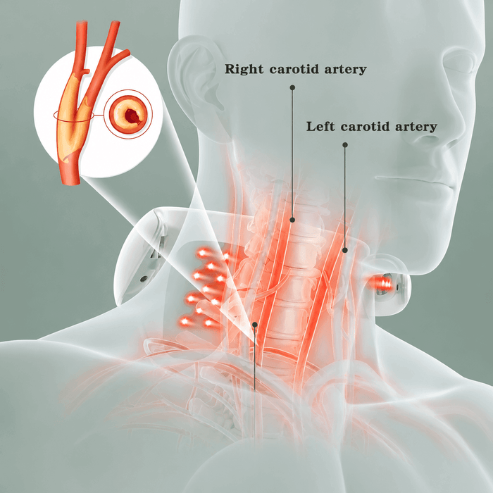 Built around TCM acupuncture points — no needles.